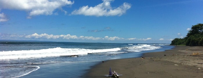 Medewi Beach (Surf Spot) is one of DENPASAR - BALI.