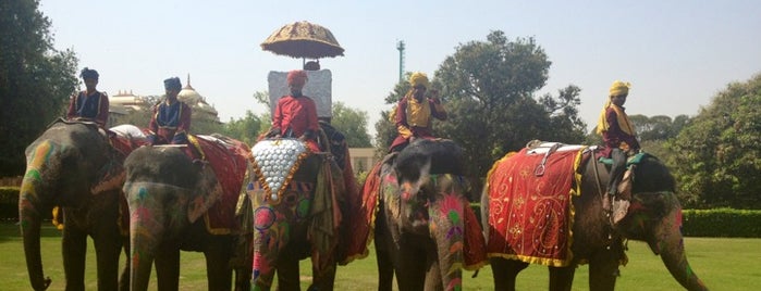 Rajasthan Polo Club (RPC) is one of Jaipur Tourist Circuit.