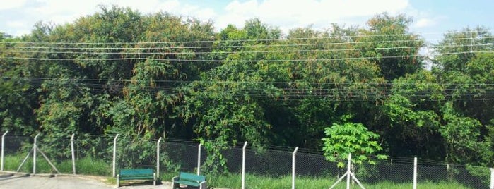 Bosque dos Ipês is one of Bairros de SJC.