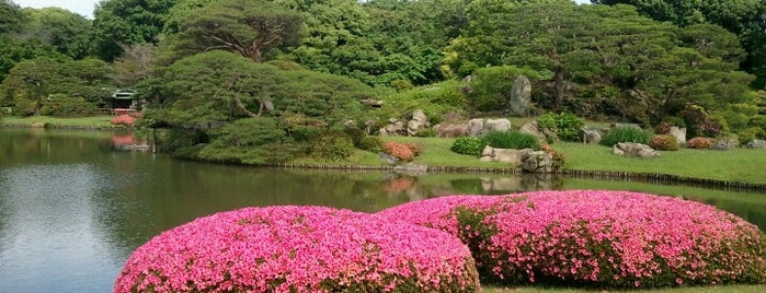 리쿠기엔 정원 is one of 東京都立の公園・庭園.