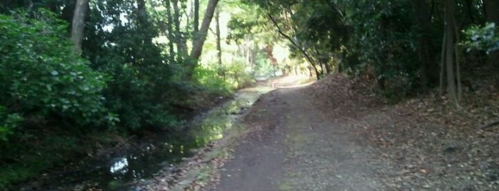 都立 大井緑道公園 is one of 東京都立の公園・庭園.