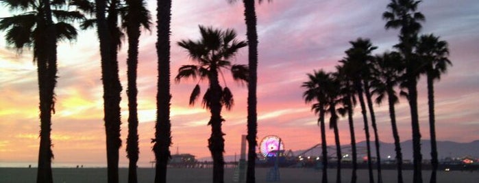 Venice Beach is one of Los Angeles.