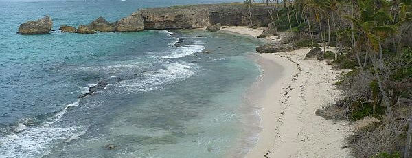 Harrismith Beach is one of Barbados Child-Friendly Beaches.