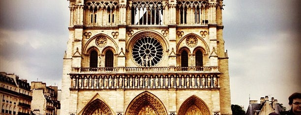 Parvis Notre-Dame — Place Jean-Paul II is one of Paris 🖼️🌳.