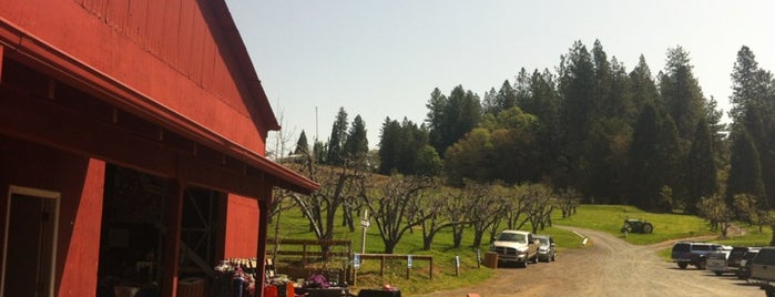 Rainbow Orchards is one of The Best of Apple Hill.