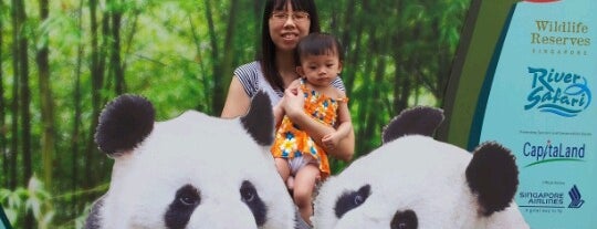 Singapore Zoo is one of Sing.