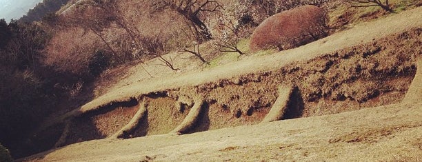 Yamanaka Castle Ruins is one of 函南を行く.