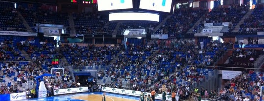 Palacio de Deportes José Mª Martín Carpena is one of 101 cosas que ver en Málaga antes de morir.