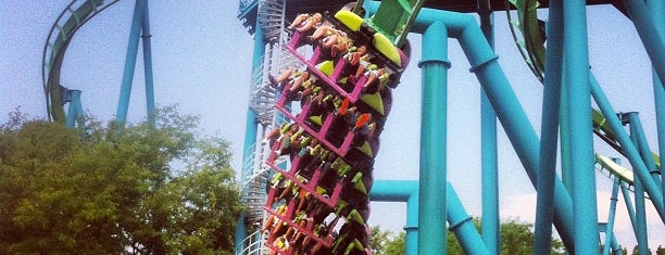 Cedar Point is one of Driving around 48 states in United States.