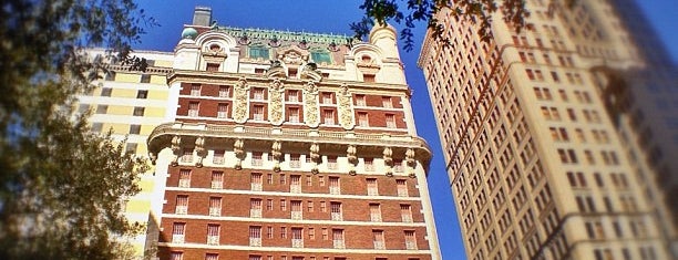 The Adolphus is one of Pet-Friendly DFW.