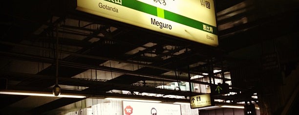 Meguro Station is one of Tokyo JR Yamanote Line.