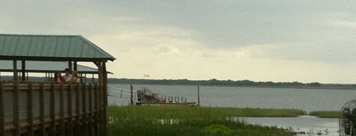 Cypress Lake Air Boat Tour is one of Floridas Top Spots.