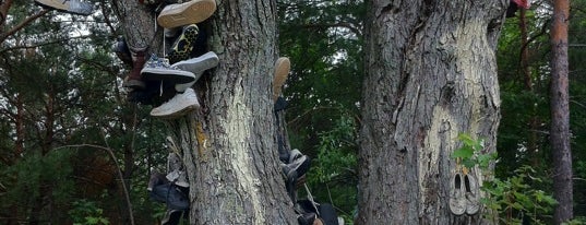Shoe Tree On 131 is one of Lugares favoritos de Dick.