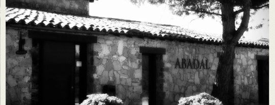 Bodegas Abadal is one of Catalonia & Balearic Wine World.
