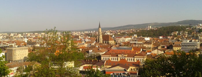 The best of Cluj