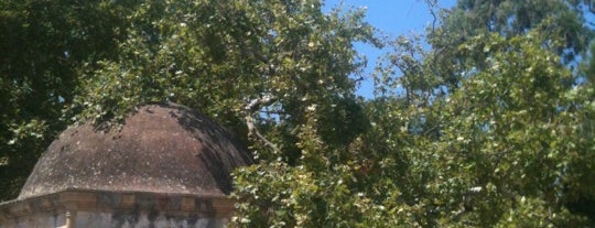 Hippocrates Plane Tree is one of Kos Island, Greece.