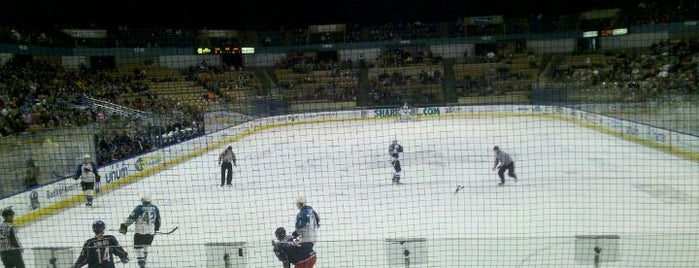 Worcester Sharks is one of WOOCard Venues.