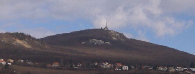 Zobor is one of Slovak mountains.