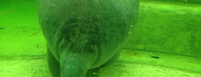 Tierpark Berlin is one of Parks - Berlin's green oases.