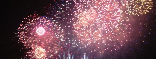 Red, White & BOOM! 2013 is one of Cool for tweens in Columbus.