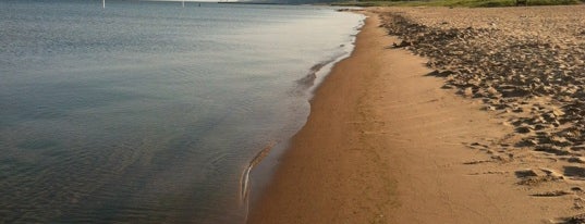 Oval Beach (Lake Michigan) is one of Saugatuck.