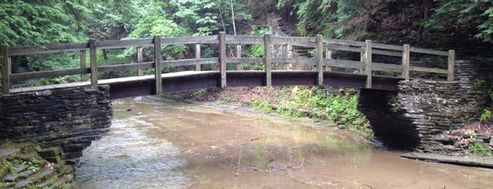 Buttermilk Falls State Park is one of Summer in Ithaca.