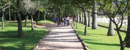 Parque da Vila Guilherme / do Trote is one of Correr.