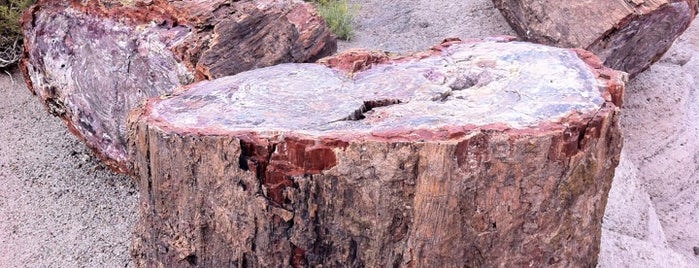 Petrified Forest National Park is one of Arizona - The Grand Canyon State.