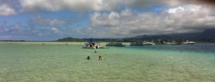 Kāneʻohe Sandbar is one of モヤさま ハワイ編.