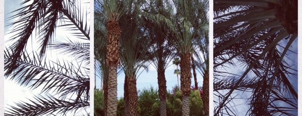 Le Parker Méridien Palm Springs is one of Palm SPRINGS/DESERT.