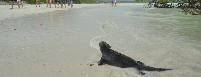 Bahía Tortuga is one of Posti che sono piaciuti a Antonio Carlos.