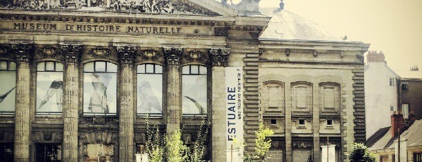 Muséum d'Histoire Naturelle de Nantes is one of Nantes.