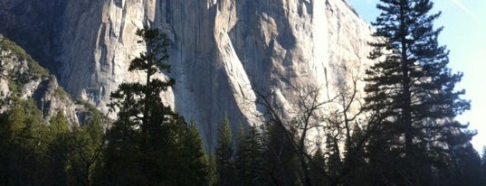 Yosemite National Park is one of UNESCO World Heritage Sites.