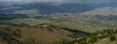 Mt Washburn Fire Lookout is one of สถานที่ที่ Ryan ถูกใจ.