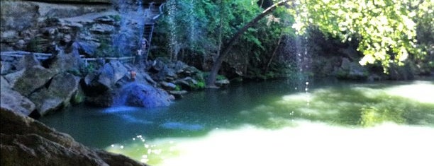 Hamilton Pool Nature Preserve is one of Austin.