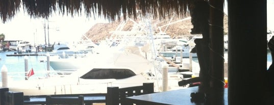 Tiki Bar is one of Destination Cabo San Lucas.