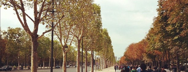 Gardens of the Champs-Élysées is one of Paris.