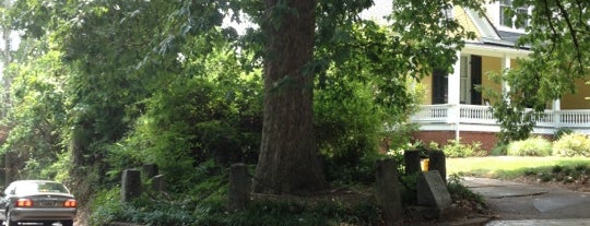 The Tree That Owns Itself is one of AthensGA.