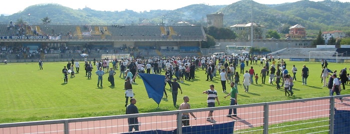 Stadio Bacigalupo is one of Savona - Far from common places.