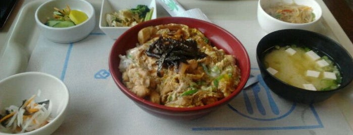Thatsu Culinaria Japanese is one of Tempat yang Disukai Anderson.