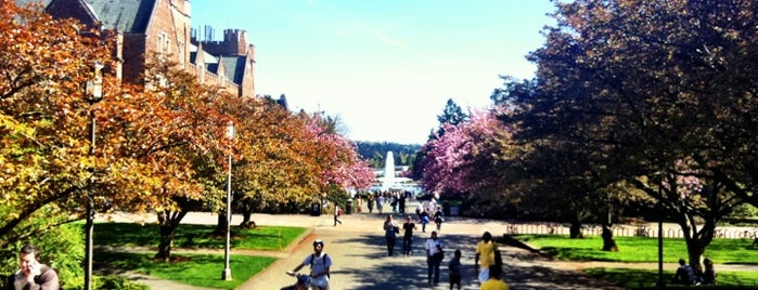 University of Washington is one of Seattle at its best!.