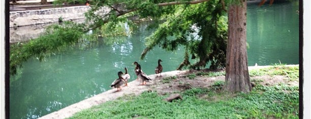 Brackenridge Park is one of Amerika, San Antonio.
