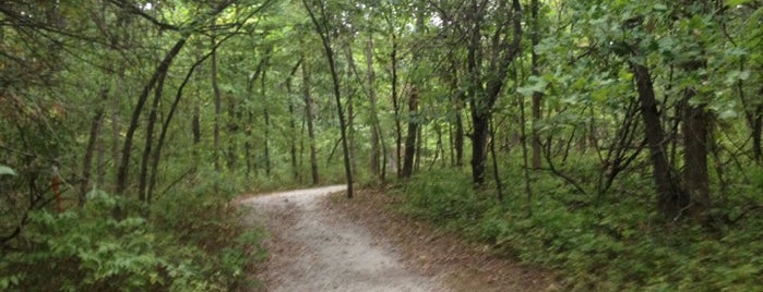Burr Oak Woods Conservation Area is one of My KC.