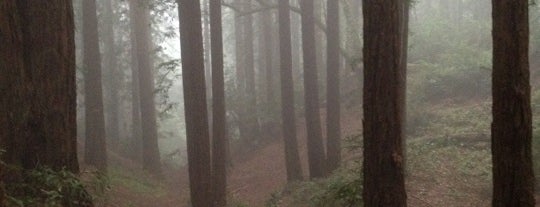 Joaquin Miller Park is one of Oakland Awesomness.