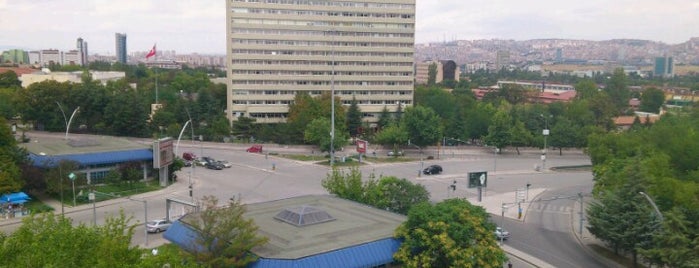 Barceló Ankara Altinel is one of Banu : понравившиеся места.
