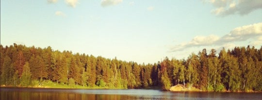 Лесное озеро is one of Visit M.O. (Moskovskaya Oblast).