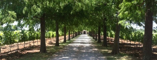 Fall Creek Vineyards - Tow is one of Texas Vineyards - Hill Country Wineries.