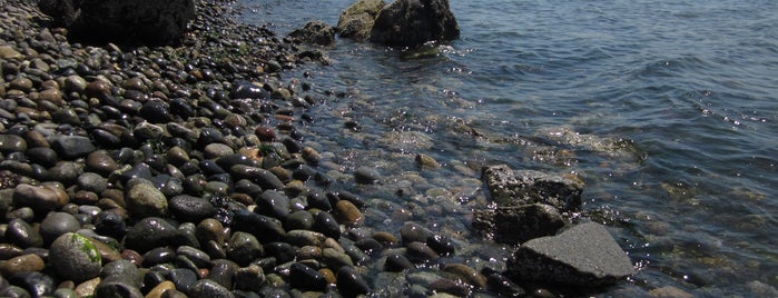 Magnolia Beach is one of Robby’s Liked Places.