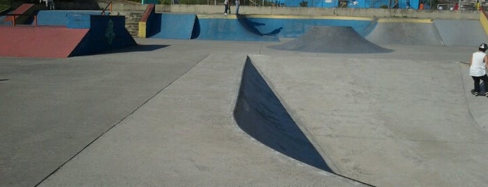 Pista de Skate Imigrantes is one of SurfSk8.