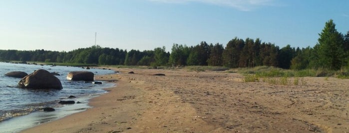 Lahemaa Rahvuspark is one of Estonia To Do (August 2014).